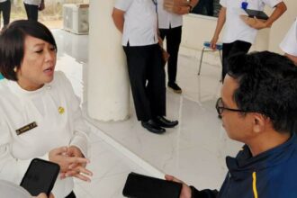 Penjabat (pj) Sekretaris Daerah Barito Selatan, Ita Minarni
