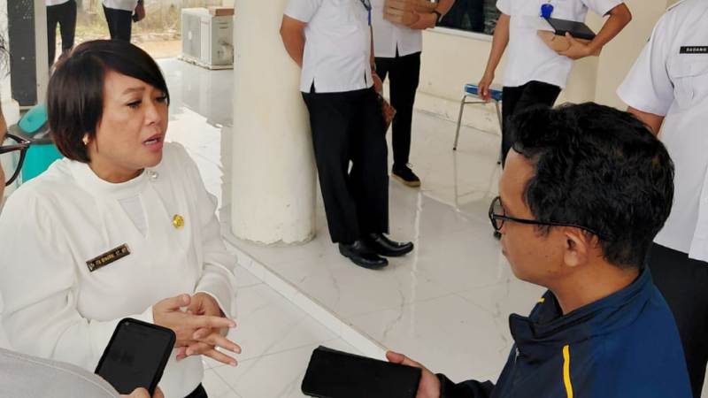 Penjabat (pj) Sekretaris Daerah Barito Selatan, Ita Minarni