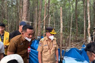 Gubernur Kalimantan Tengah Agustiar Sabran meninjau langsung lokasi kebakaran hutan dan lahan (karhutla) di kawasan belakang Kampus Merah Putih Terpadu Universitas Palangka Raya (UPR), Selasa (1/9/2026).