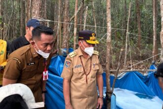 Gubernur Kalimantan Tengah Agustiar Sabran meninjau langsung lokasi kebakaran hutan dan lahan (karhutla) di kawasan belakang Kampus Merah Putih Terpadu Universitas Palangka Raya (UPR), Selasa (1/9/2026).