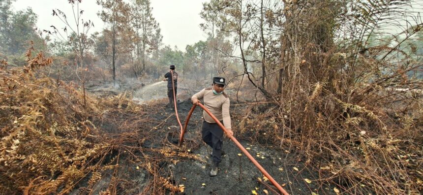Personel Polsek Bukit Batu bersama Polresta Palangka Raya dan Brimob Kompi Tangkiling melakukan pemadaman kebakaran hutan dan lahan (karhutla) di Kelurahan Marang, Kecamatan Bukit Batu, Kota Palangka Raya.