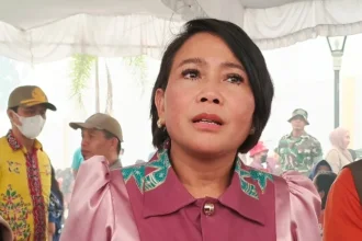 Pj Sekda Barsel