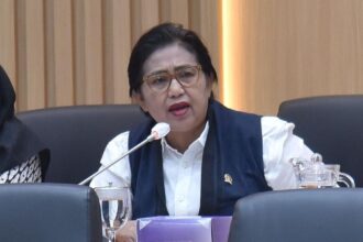 Anggota Komisi Ix Dpr Ri Irma Suryani Chaniago