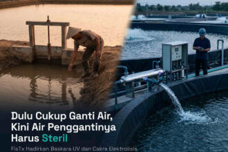 Fistx Indonesia