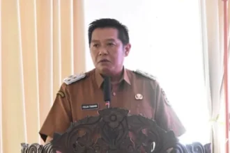 Wakil Bupati Barito Utara Felix Sonadie Y Tingan