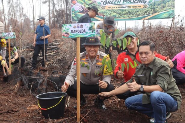 Polda Kalimantan Tengah memperkuat upaya pemulihan lingkungan pascakebakaran hutan dan lahan (karhutla) melalui penanaman 1.000 bibit pohon belangiran di kawasan Kanal Aksio, Desa Tumbang Nusa, Kecamatan Jabiren Raya, Kabupaten Pulang Pisau, Jumat (30/10/2026).