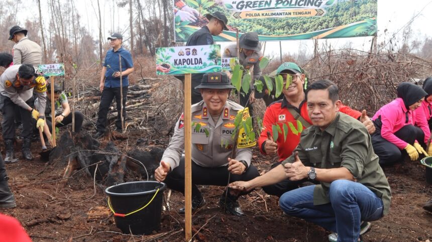 Polda Kalimantan Tengah memperkuat upaya pemulihan lingkungan pascakebakaran hutan dan lahan (karhutla) melalui penanaman 1.000 bibit pohon belangiran di kawasan Kanal Aksio, Desa Tumbang Nusa, Kecamatan Jabiren Raya, Kabupaten Pulang Pisau, Jumat (30/10/2026).