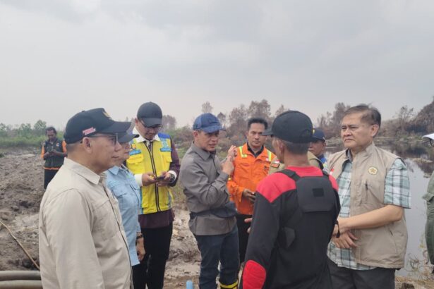 Wakil Menteri Koordinator Bidang Pangan Hanif Faisol Nurofiq.