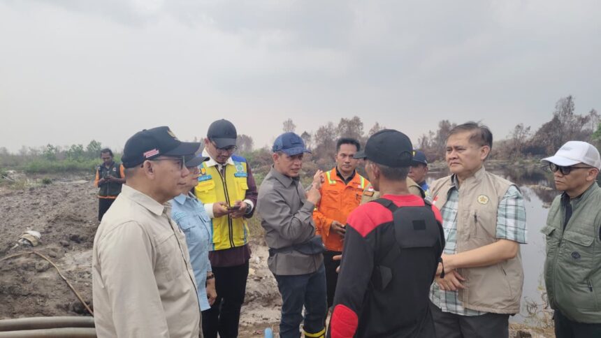 Wakil Menteri Koordinator Bidang Pangan Hanif Faisol Nurofiq.