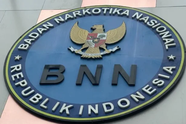 Bnn