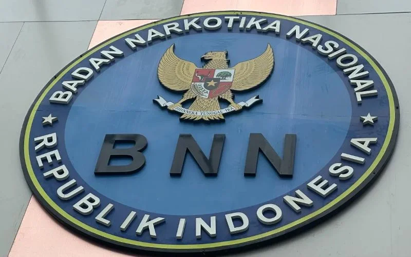 Bnn