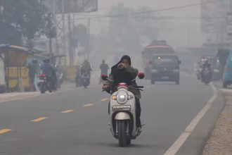 Kabut Asap