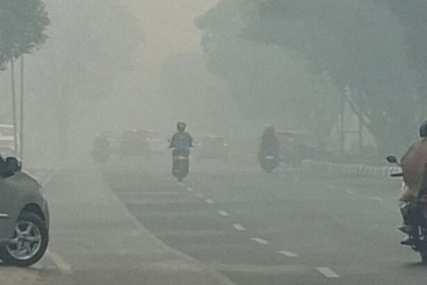 Kabut Asap