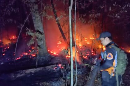 Karhutla Sanggu Barito Selatan