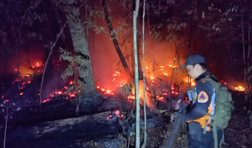 Karhutla Sanggu Barito Selatan