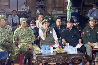 Menhut