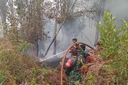 Pembasahan Lahan Karhutla Buntok