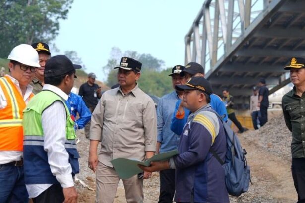 Shalahuddin Cek Jembatan
