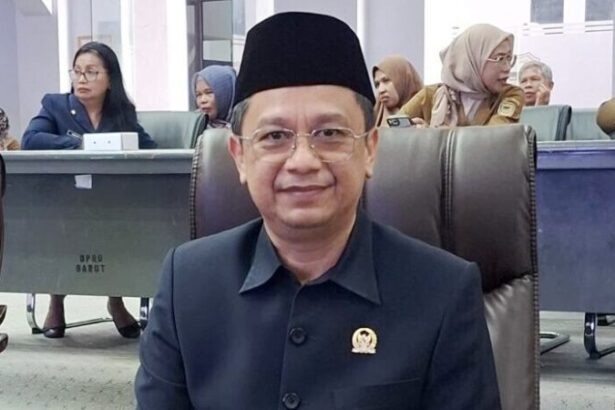 Taufik Nugraha Pdip